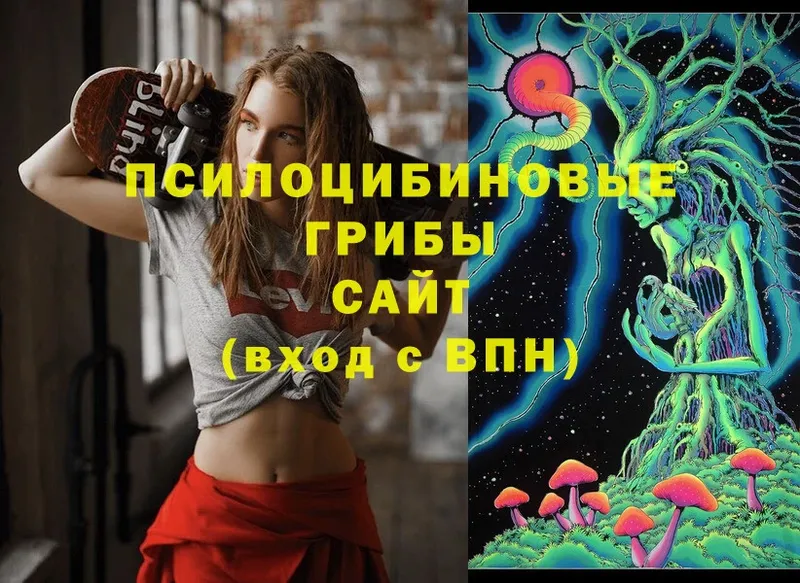 Псилоцибиновые грибы Psilocybe  Шумиха 